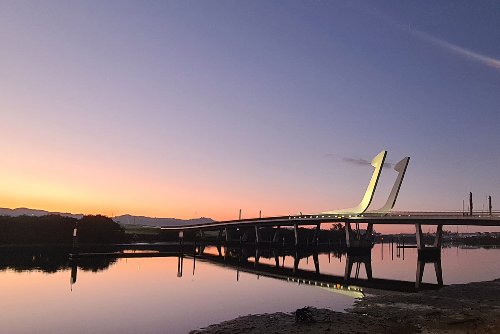 Te Matau a Pohe bridge in Whangarei during sunrise